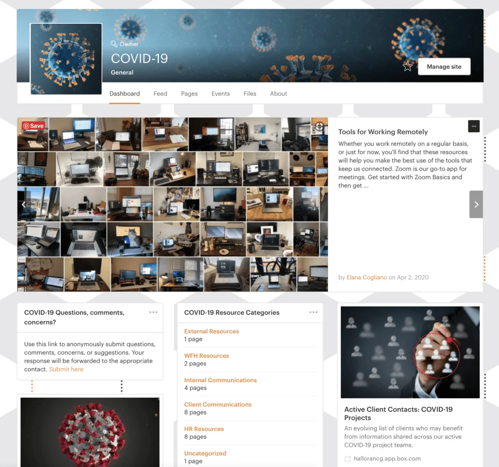 Simpplr case study - intranet example of Halloran