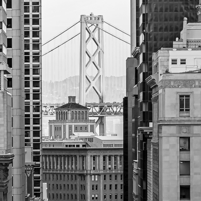 Grey San Francisco Silicon Valley USA
