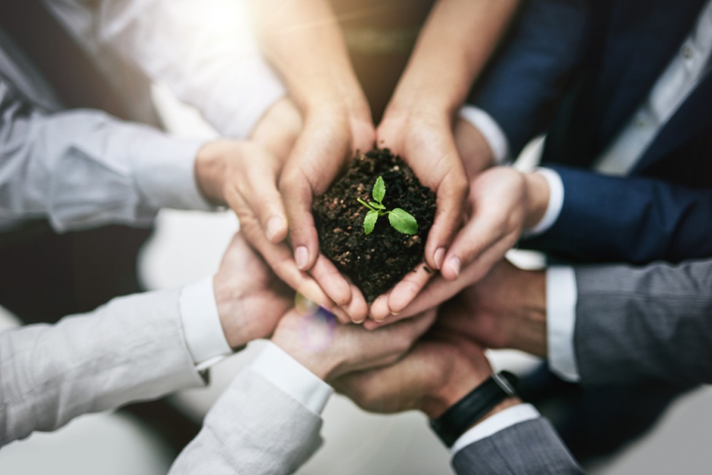 Multiple employees joining hands to hold a mound of dirt and growing plant
