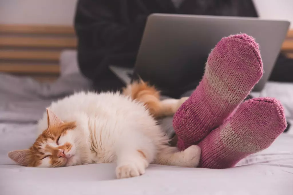 Employee sitting on a bed working on their laptop