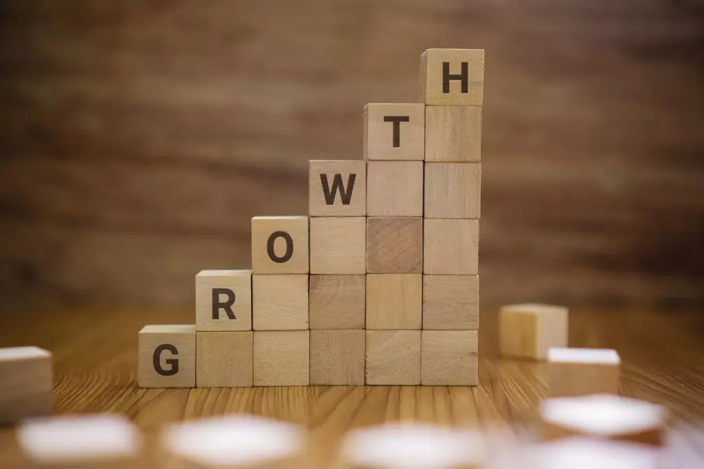 The word growth word on wooden blocks