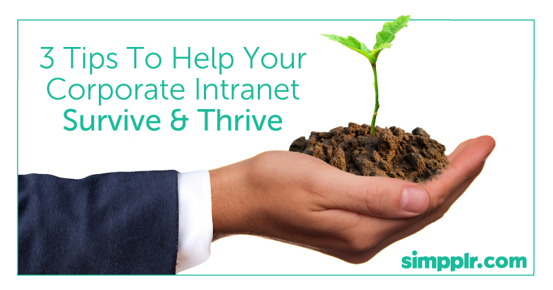 3 Tips To Help Your Corporate Intranet Survive and Thrive